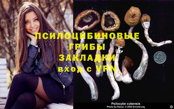 МДМА Новозыбков